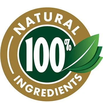 Synaptigen Synaptigen all natural vegan ingredients